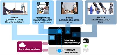 Neurorehabilitation From a Distance: Can Intelligent Technology Support Decentralized Access to Quality Therapy?
